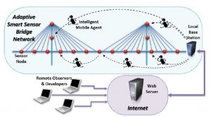 Cartoon diagram of the cyberinfrastructure network